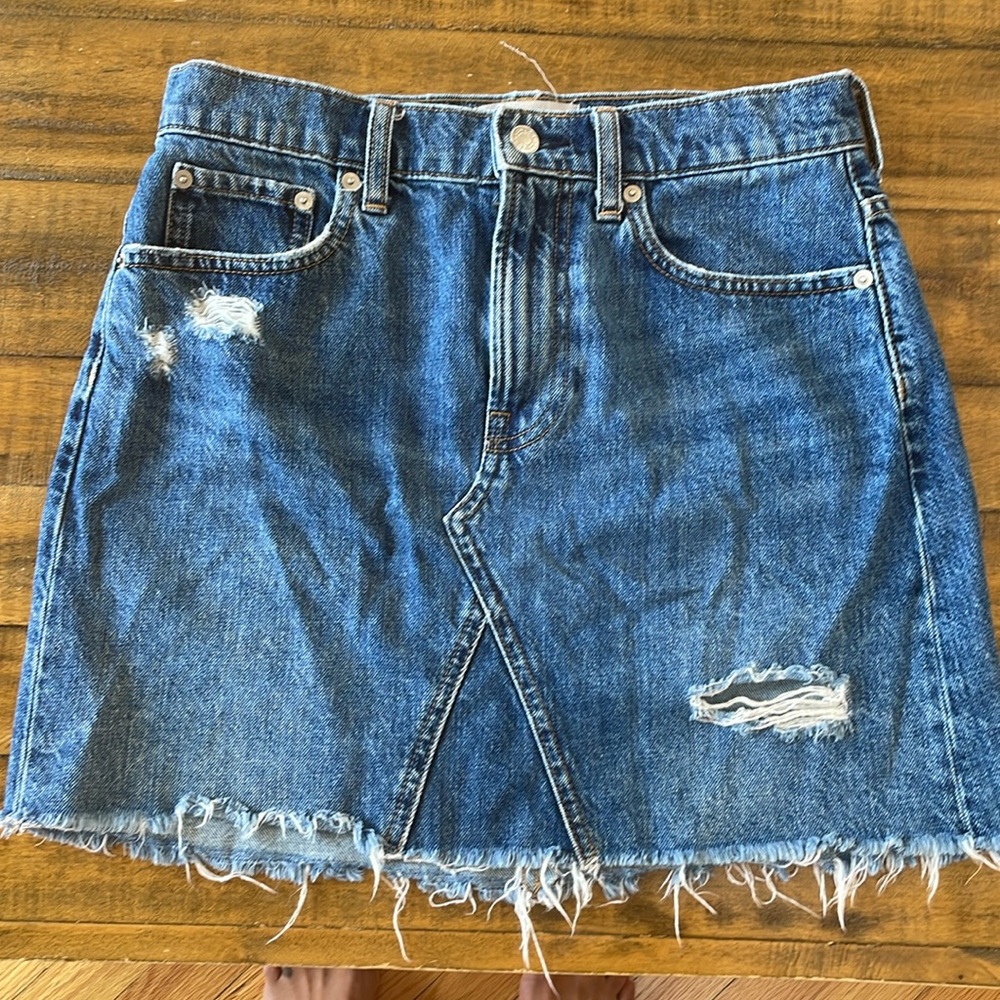 Everlane denim skirt